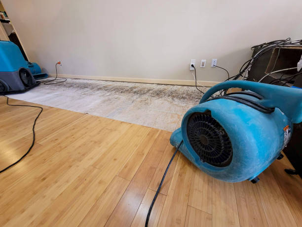 Reliable Basement Flood Cleanup contractor in Mansfield, TX by Hirex Water Damage