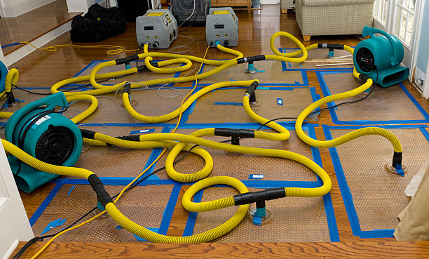 Professional Basement Flood Cleanup technician working in Mansfield, TX